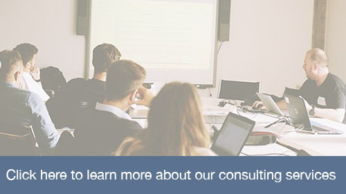 Skewed Consulting Services